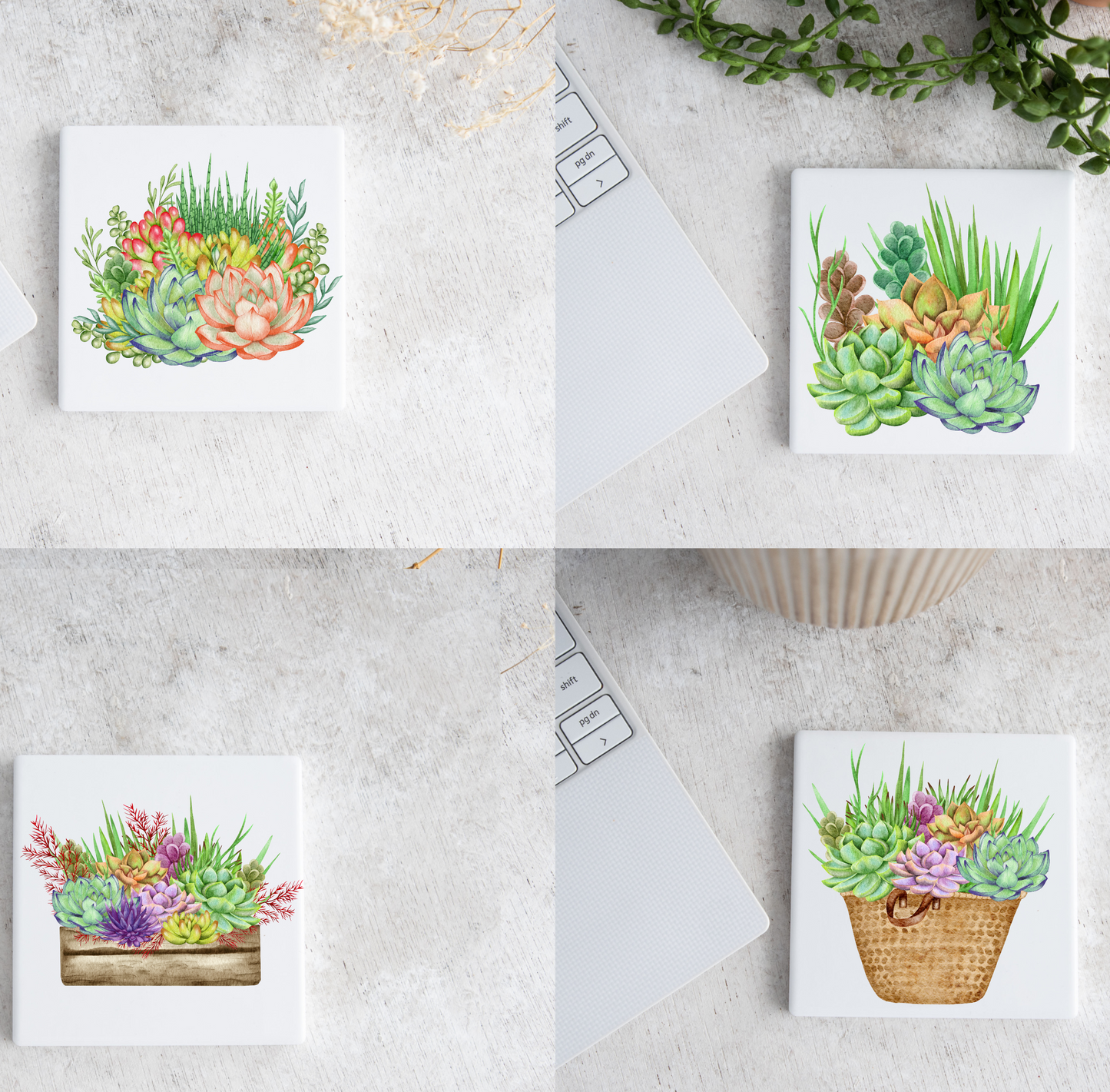 Lovely Succulents 4 Piece Decorative Tile Set